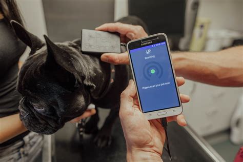 can you track your rfid chipped pet|microchip pet tracker.